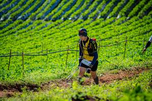 BIB: 9231
                            <button type="button" onclick="openModal(19161753)" class="btn btn-primary btn-sm float-right btn-popup" data-toggle="modal" data-target=".modal-high-quality">
                        <i class="fas fa-shopping-cart"></i> Add to Cart
                    </button>
                                            <button type="button" onclick="isThisMe(19161753, true)" class="btn btn-success btn-sm float-right btn-popup btn-isme hidden" data-toggle="tooltip" data-placement="bottom" title="นี่คือรูปของคุณใช่ไหม คลิกที่นี่เพื่อเอาเข้าอัลบั้ม">
                        <i class="fas fa-plus"></i> Add to album
                    </button>
                    <button type="button" onclick="isThisMe(19161753, false)" class="btn btn-warning btn-sm float-right btn-popup btn-isnotme hidden">
                        <i class="fas fa-ban"></i> Remove from album
                    </button>